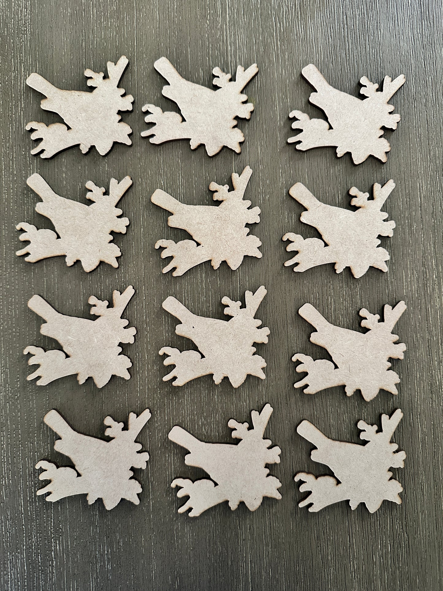 Bird Minis-unfinished
