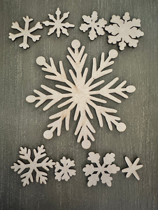 Special Snowflakes-unfinished